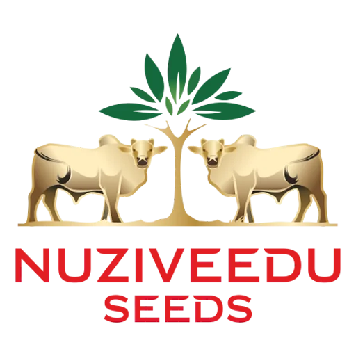 nuziveedu seeds